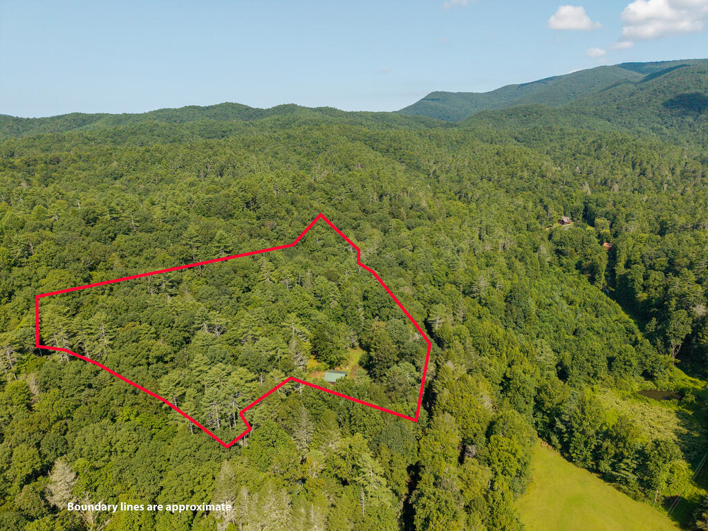 61 Wilderness Road Ellijay, GA 30540 - Photo 17 of 67 Gallery Image 17