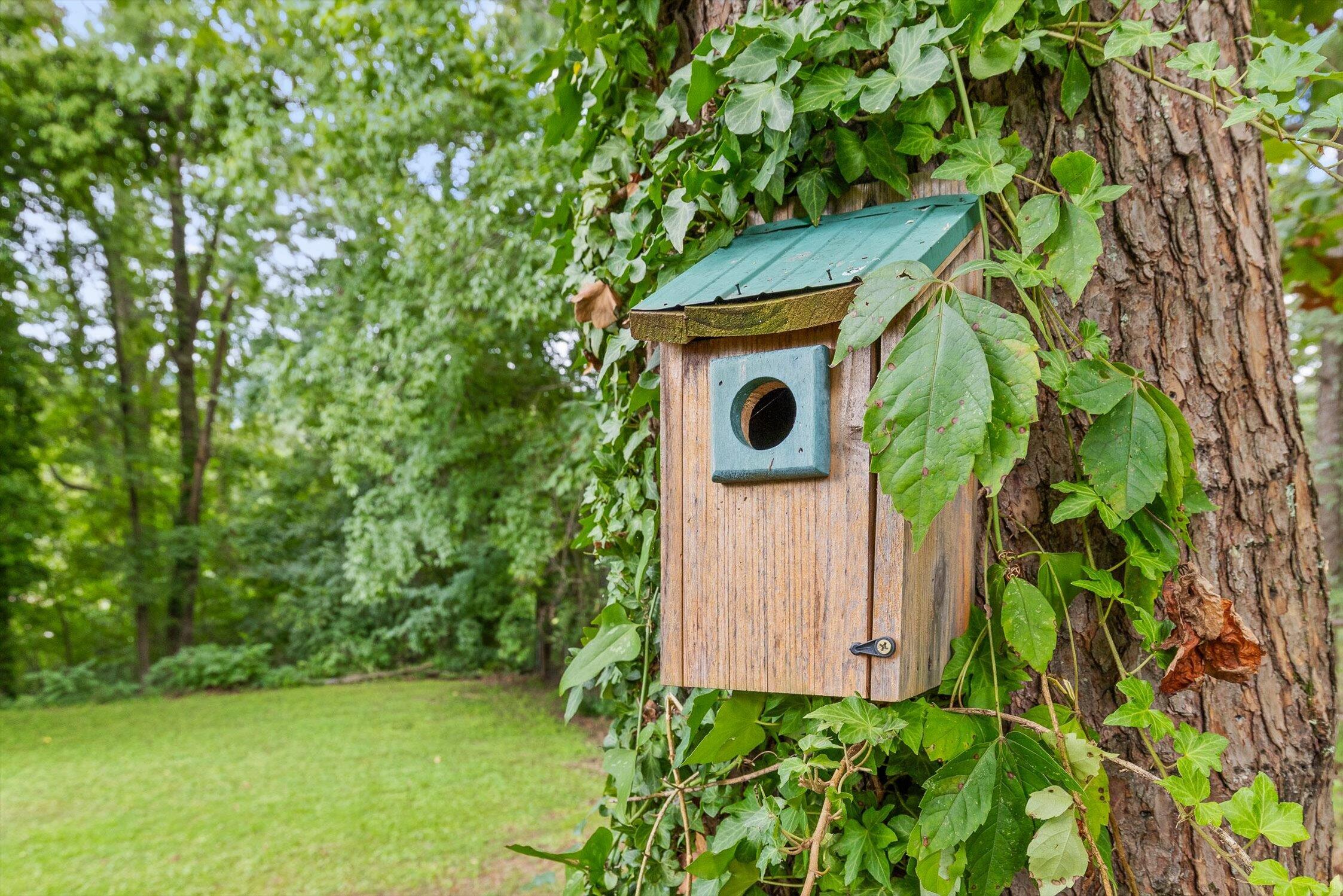 588 Tinker Bell Circle Flintstone, GA 30725 - Photo 34 of 45 588 Tinker Bell Cir