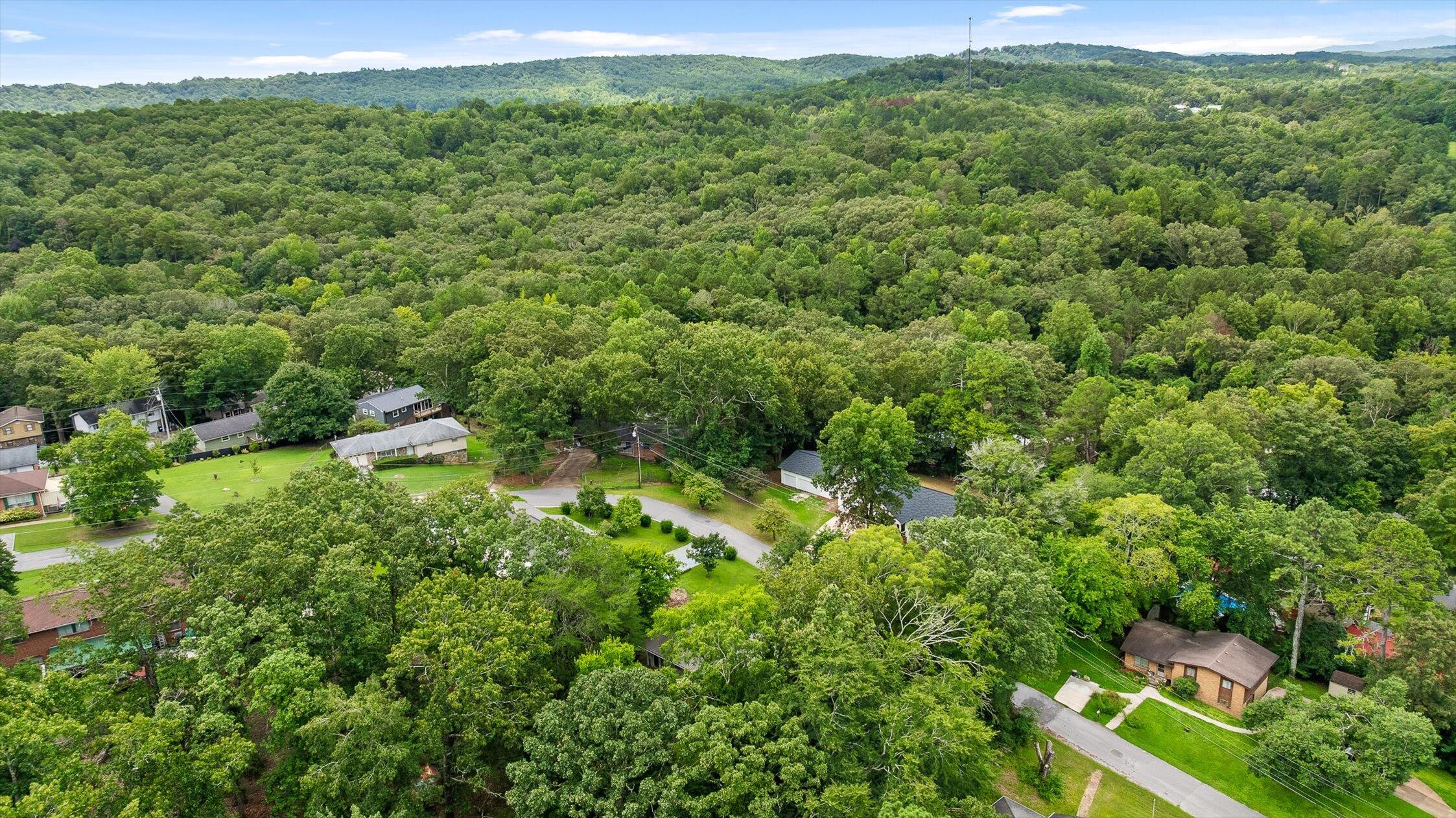 588 Tinker Bell Circle Flintstone, GA 30725 - Photo 42 of 45 588 Tinker Bell Cir