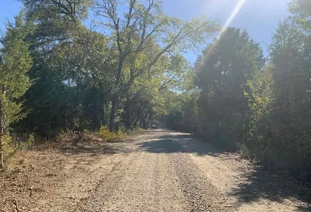 a view of a yard with trees