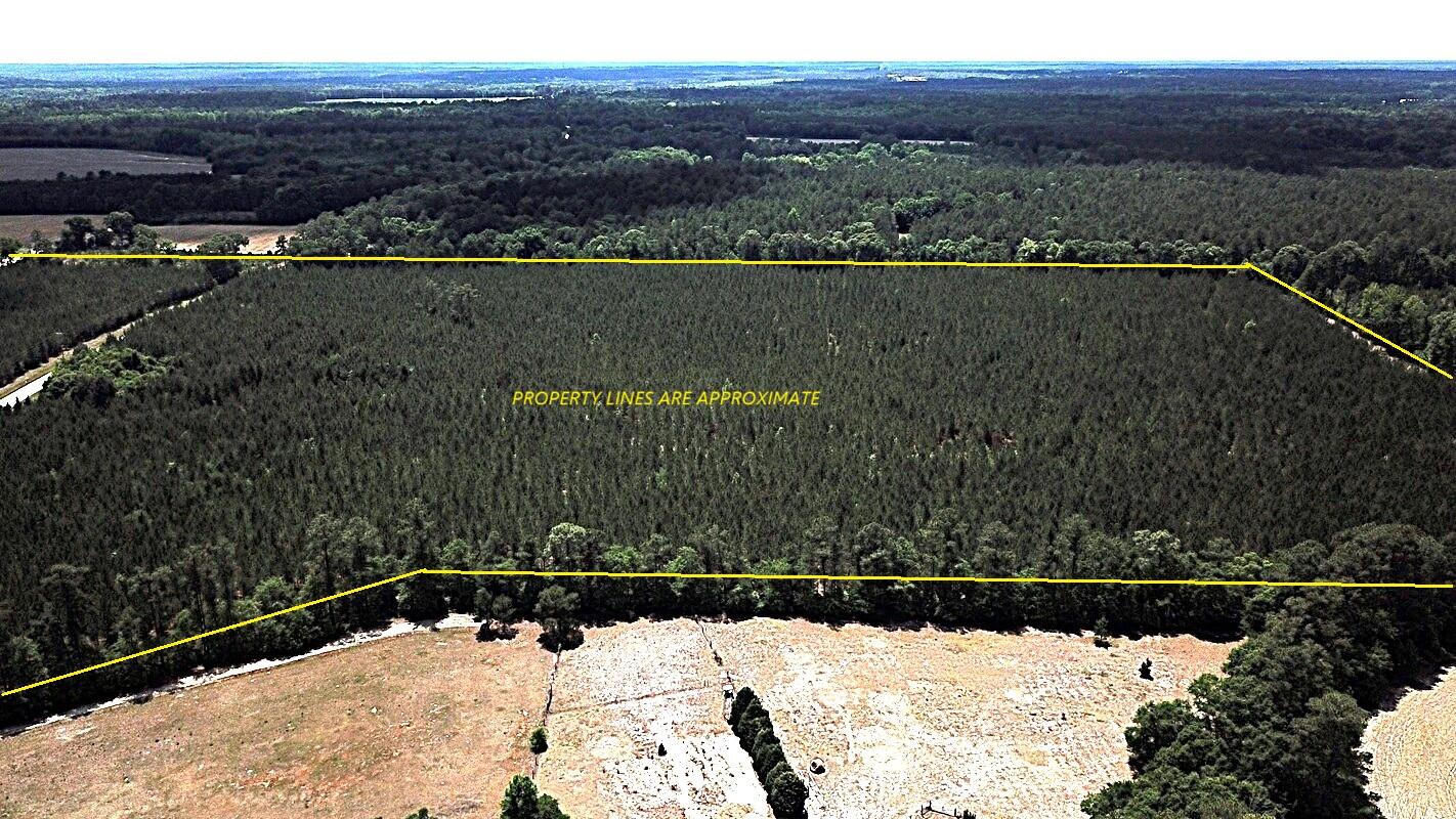 0 New Hope Road St. Matthews, SC 29135 - Photo 2 of 14 DJI_0031