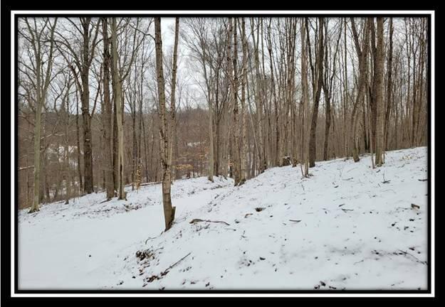 0 Number 12 Hollow Road Wellston, OH 45692 - Photo 14 of 45 image014