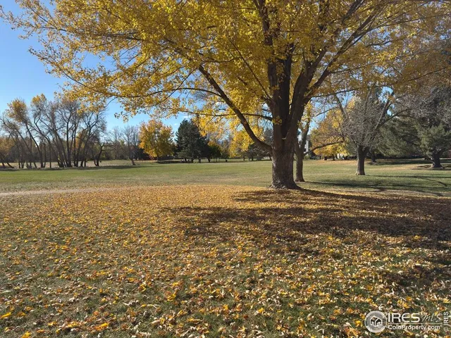 a view of outdoor space with trees