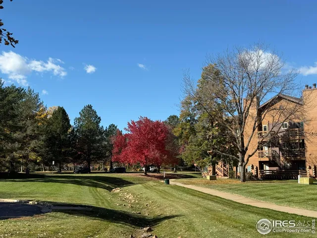 a view of a park with large trees
