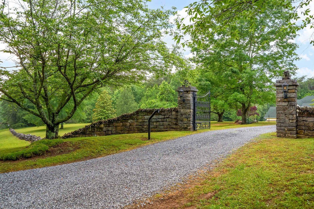 909 Williamson County Line Road Fairview, TN 37062 - Photo 58 of 66 a view of a backyard with large trees
