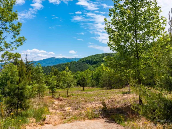 $195,000 | Lot 185 Harris Ct Mill Spring, Mill Spring, NC 28756