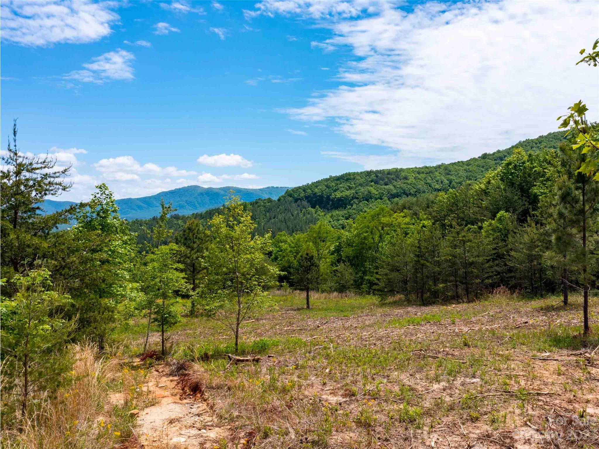 Lot 185 Harris Ct Mill Spring Mill Spring, NC 28756 - Photo 5 of 5 a view of a yard with a house