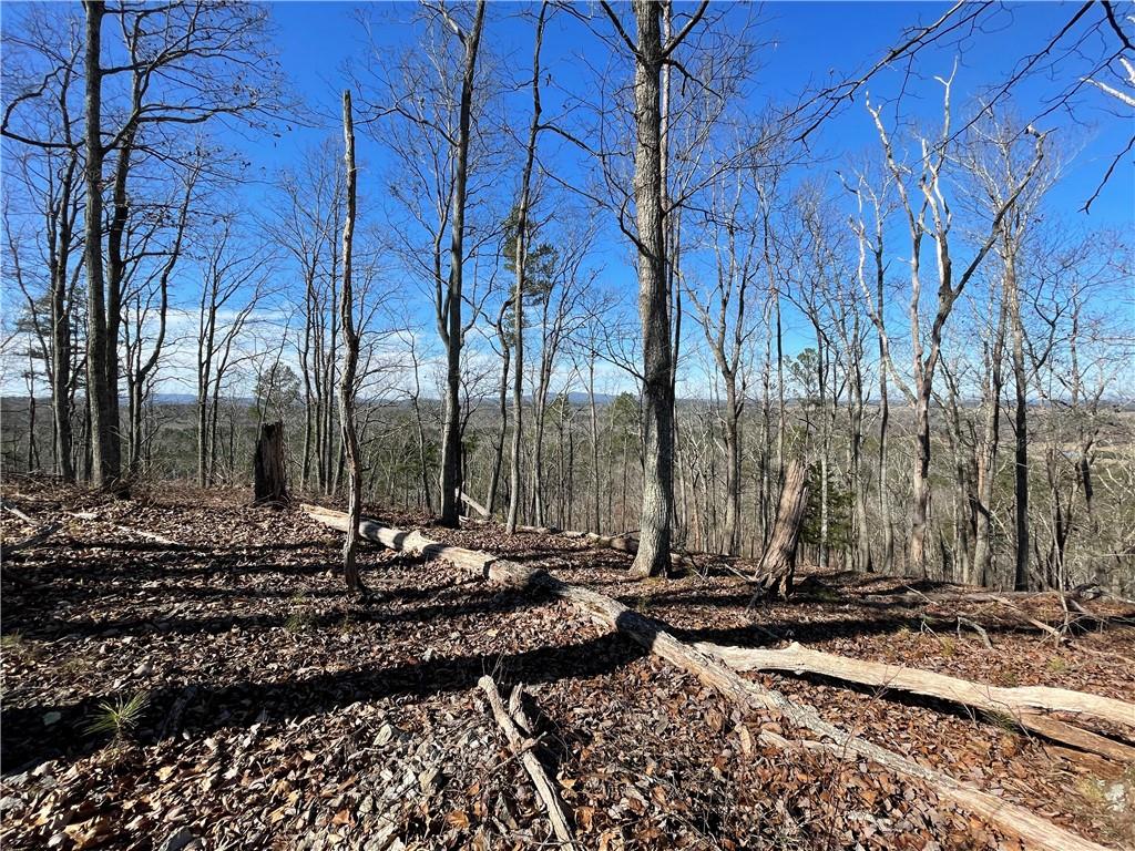 A Johnson Lake Road, Unit 0A Cedartown, GA 30125 - Photo 11 of 19 a view of a park with large trees
