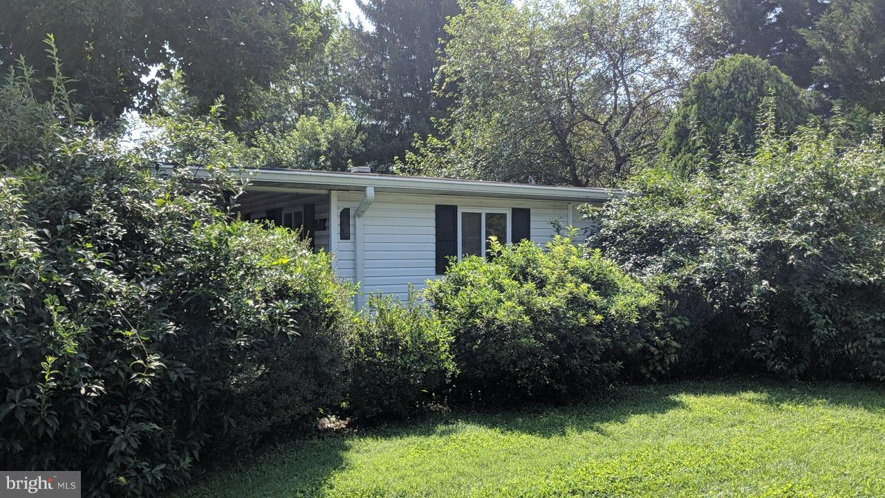 1 Wengate Road Owings Mills, MD 21117 - Photo 1 of 24 a view of a backyard with potted plants and large trees