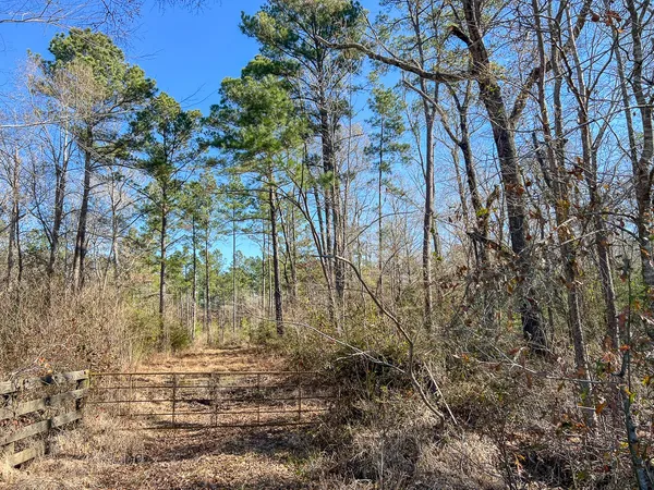 a view of outdoor space with trees