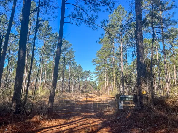 a view of outdoor space with trees