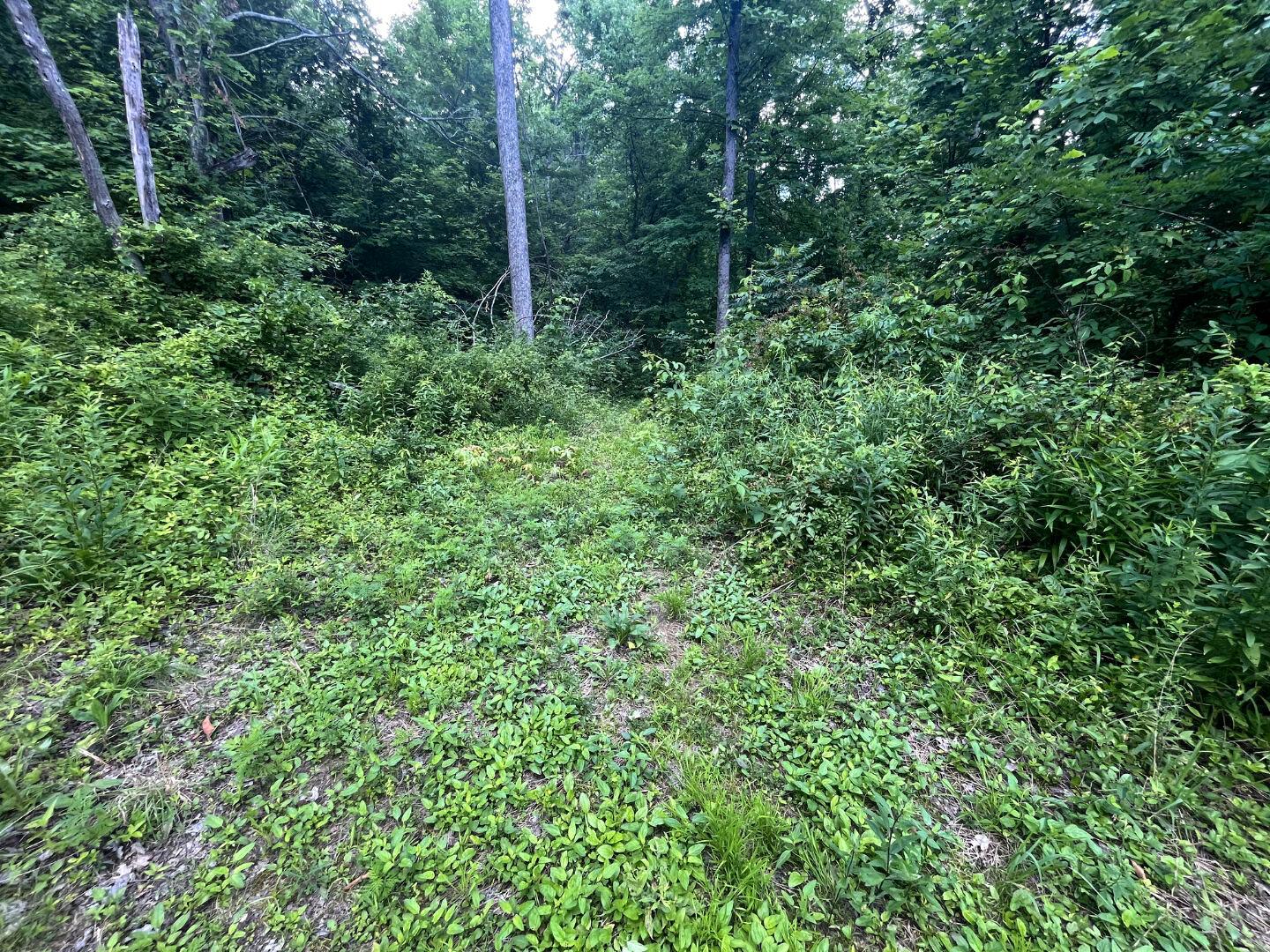 0 Water Works Hill Road Glouster, OH 45732 - Photo 9 of 35 8