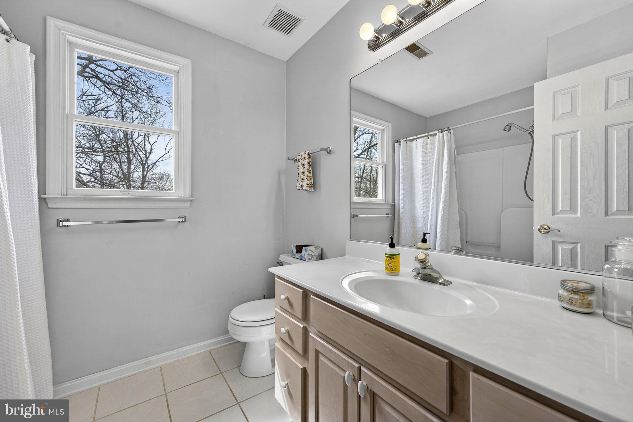 10507 Cliff Mills Road Marshall, VA 20115 - Photo 30 of 56 a bathroom with a sink toilet and a mirror