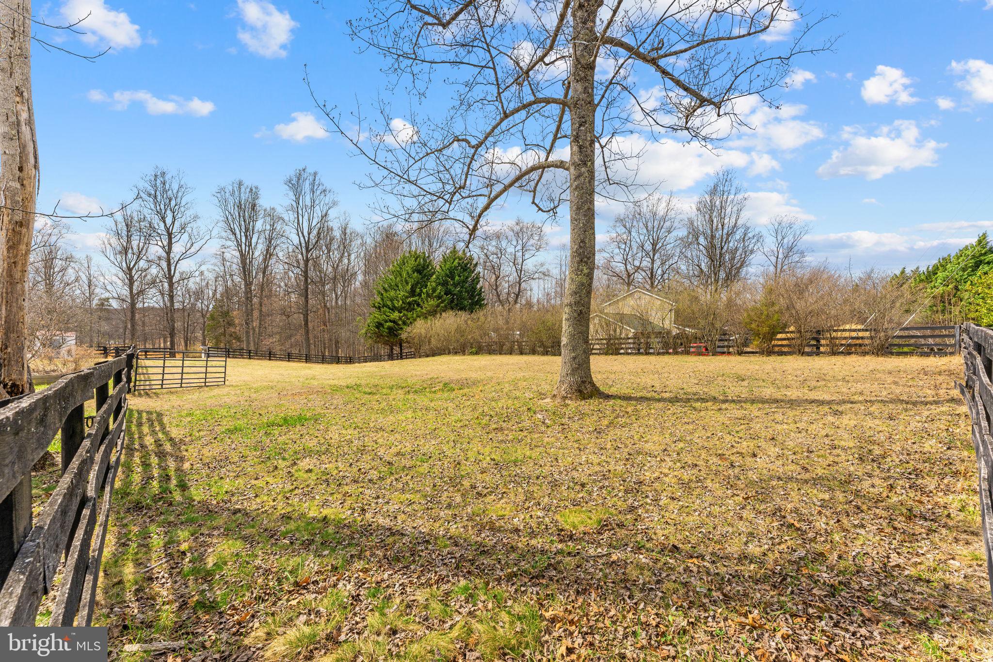 10507 Cliff Mills Road Marshall, VA 20115 - Photo 52 of 56 a view of yard with large trees