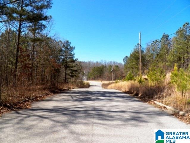 245 Covington Rdg Drive, Unit 34 Jacksonville, AL 36265 - Photo 7 of 11