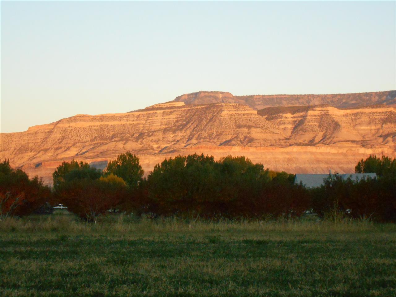 3594 G Road Palisade, CO 81526 - Photo 12 of 13