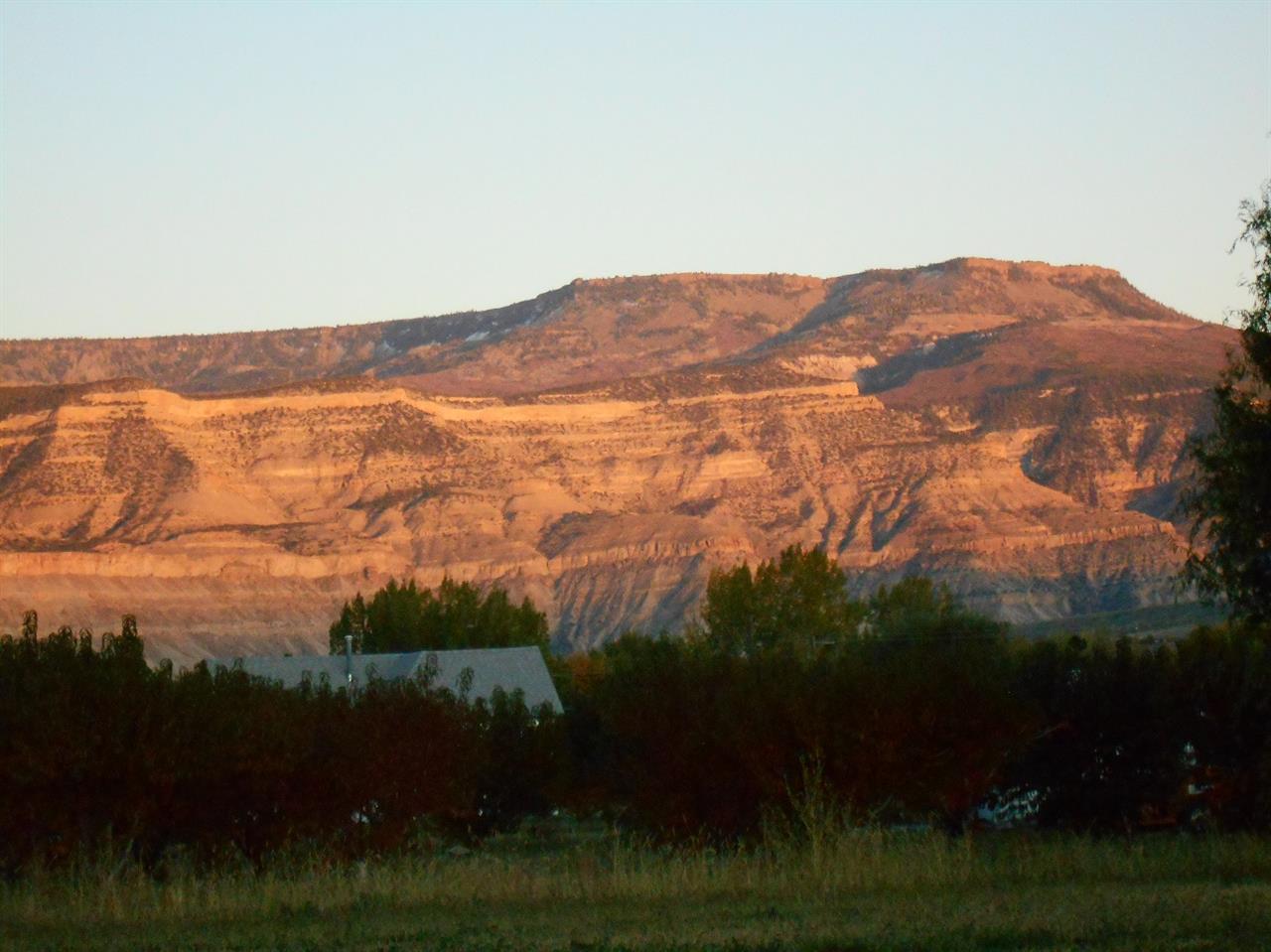 3594 G Road Palisade, CO 81526 - Photo 13 of 13
