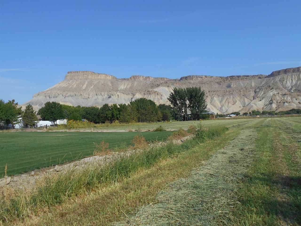 3594 G Road Palisade, CO 81526 - Photo 4 of 13 a view of a lush green field with mountains in the background