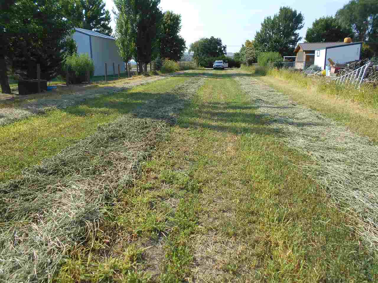 3594 G Road Palisade, CO 81526 - Photo 5 of 13 a view of a house with a yard