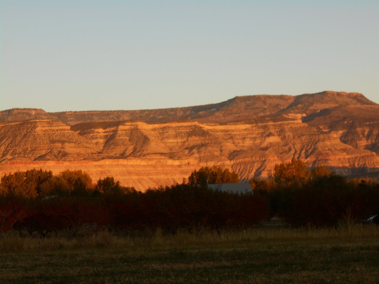 3594 G Road Palisade, CO 81526 - Photo 7 of 13