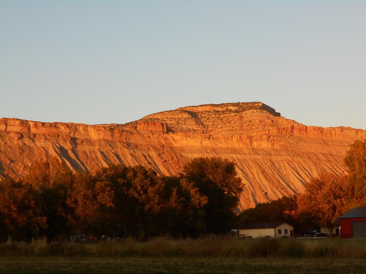 3594 G Road Palisade, CO 81526 - Photo 8 of 13