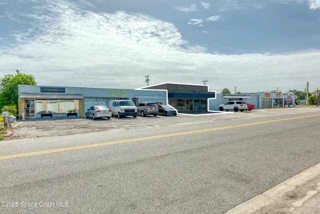 a potted plant sitting in front of a house