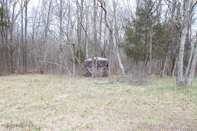 1393 Puckett Road Lawrenceburg, KY 40342 - Photo 51 of 52 IMG_1223