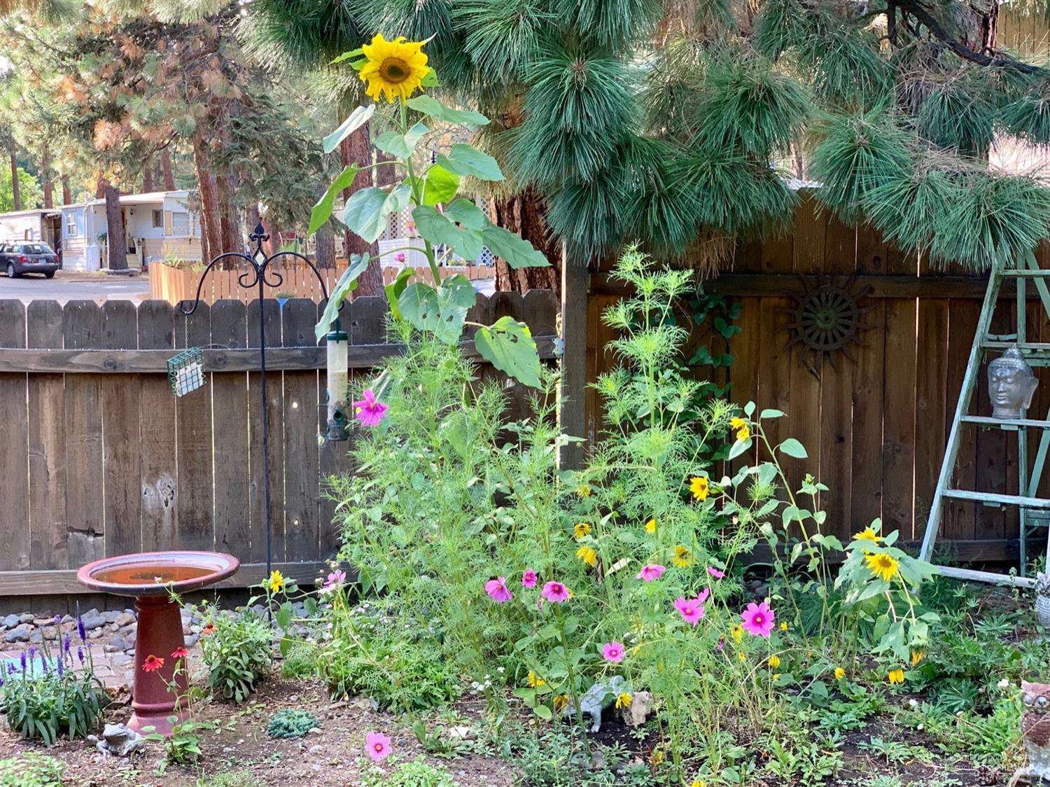 141 Southwest 15th Street, Unit 37 Bend, OR 97702 - Photo 19 of 23 Flower Garden