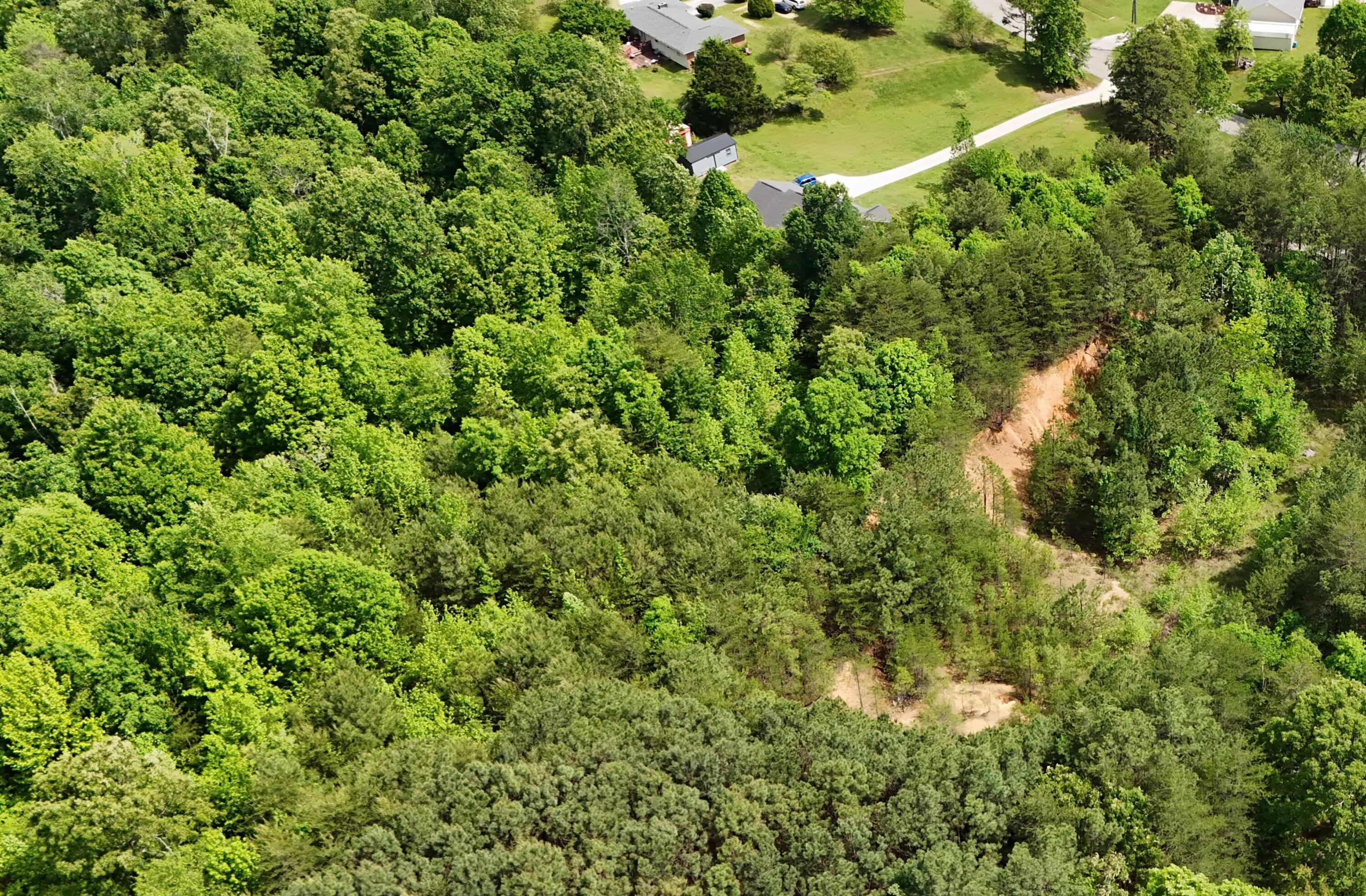 DJI_20240502154525_0032_D