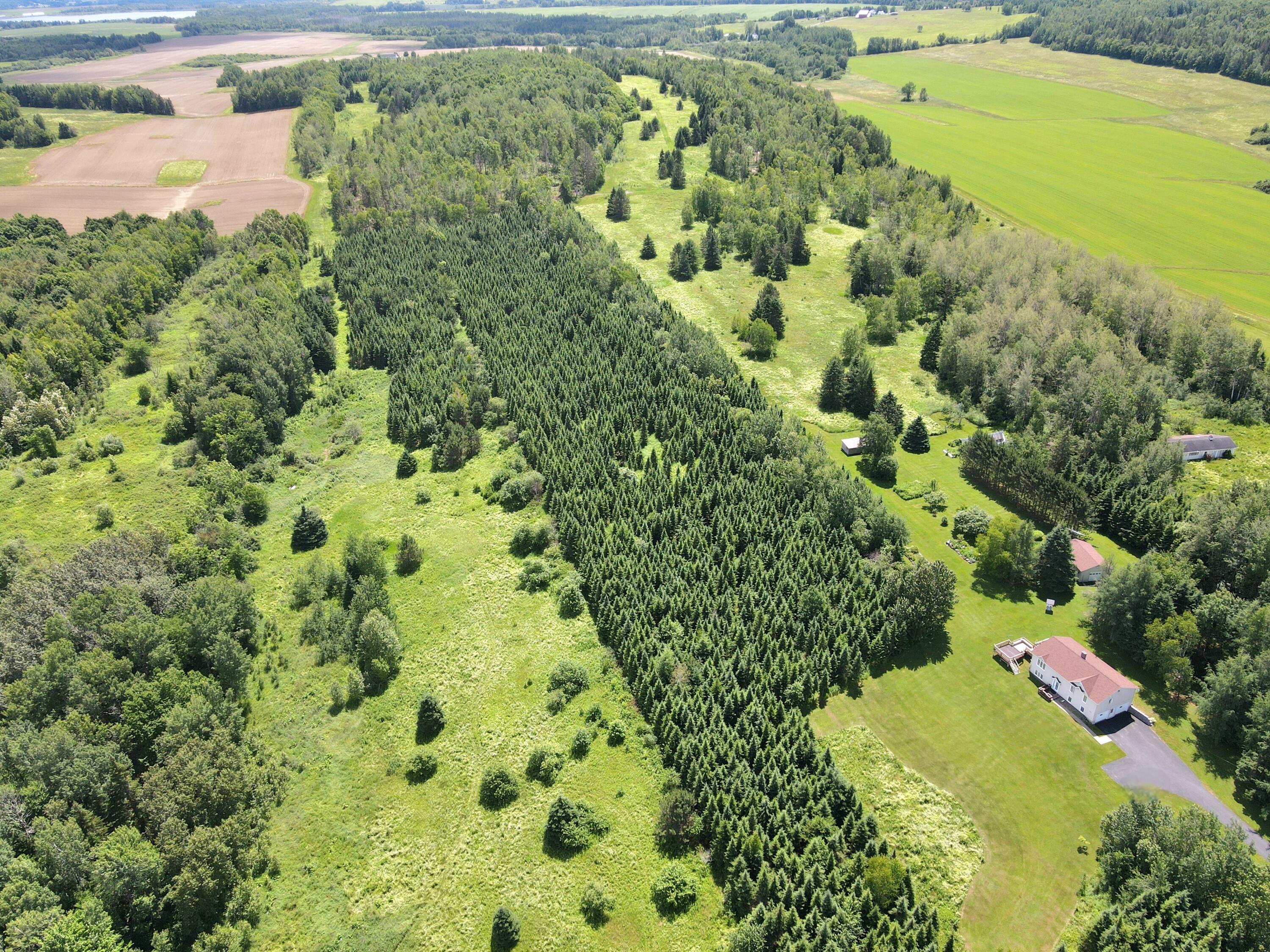 287 Presque Isle Road Fort Fairfield, ME 04742 - Photo 8 of 52 dji_fly_20240628_130742_784_171960201522