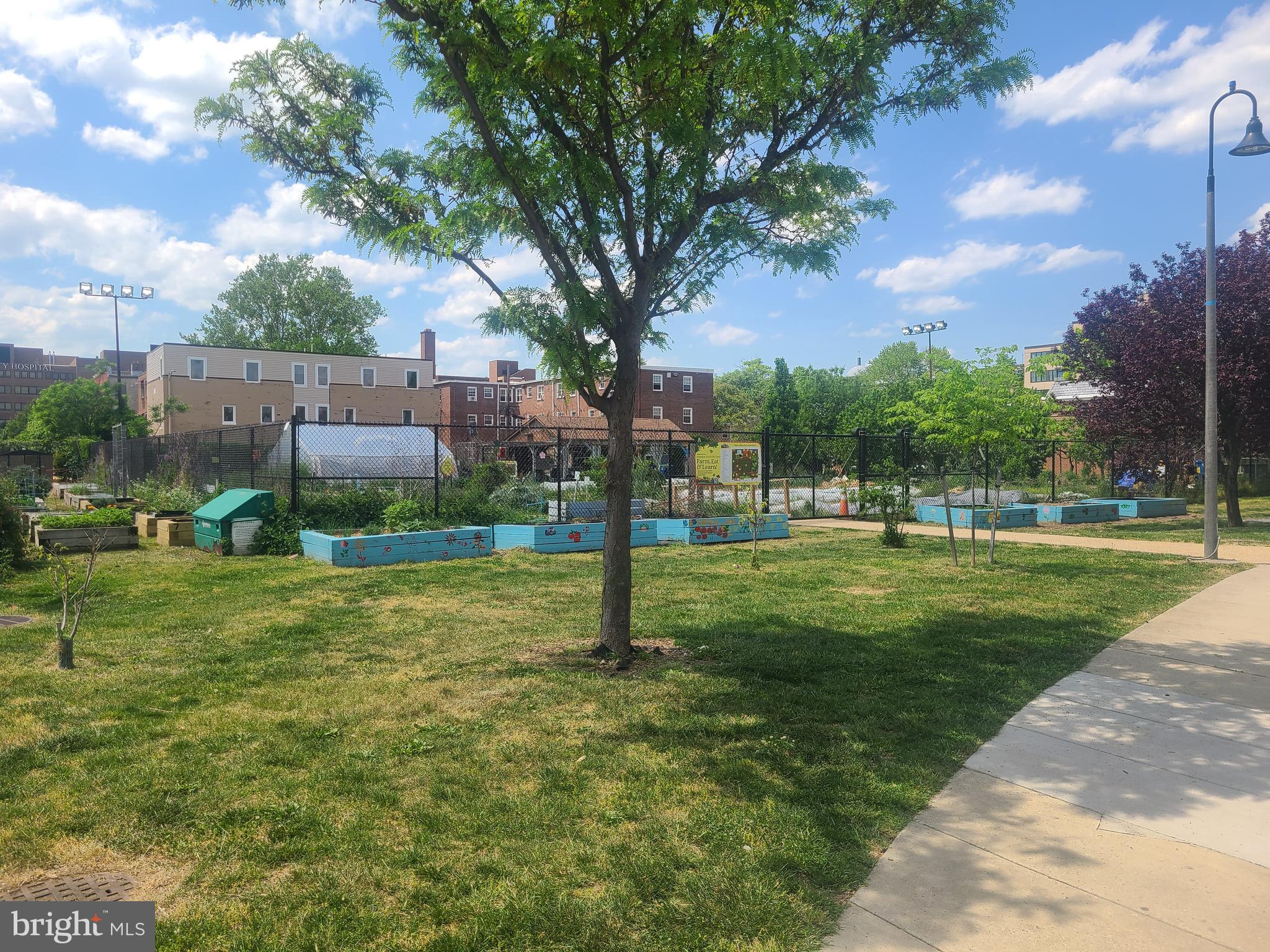 151 Thomas Street Northwest Washington, DC 20001 - Photo 39 of 40 a view of a park