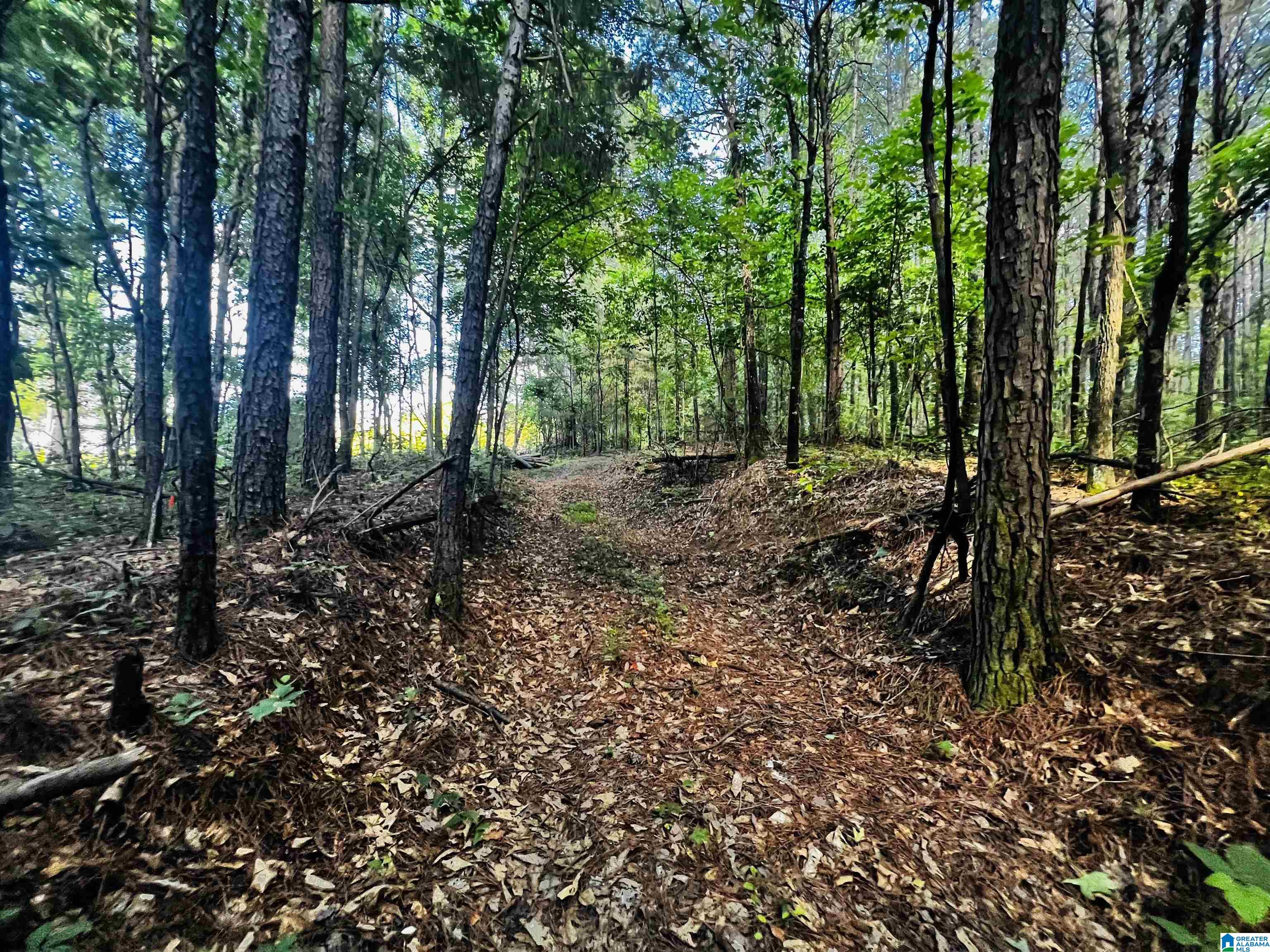 424 Ronbar Road, Unit 1 Columbiana, AL 35051 - Photo 21 of 39