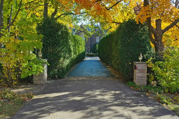 a view of a park with large trees