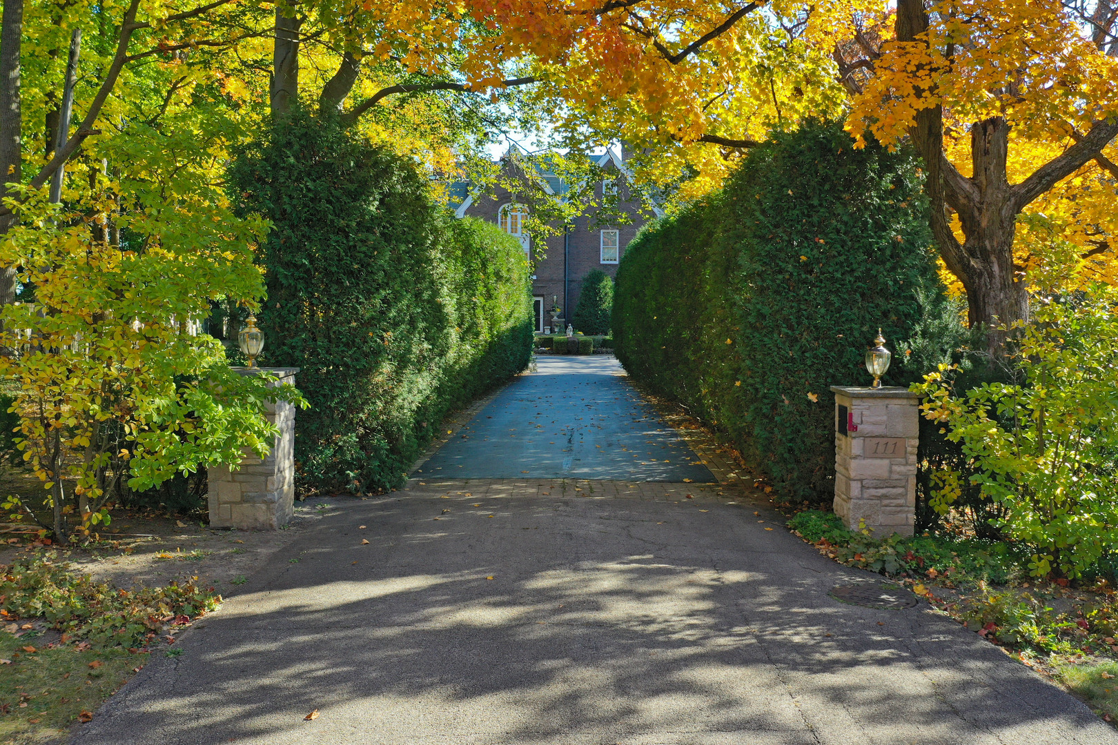 111 North Mayflower Road Lake Forest, IL 60045 - Photo 5 of 28 a view of a park with large trees