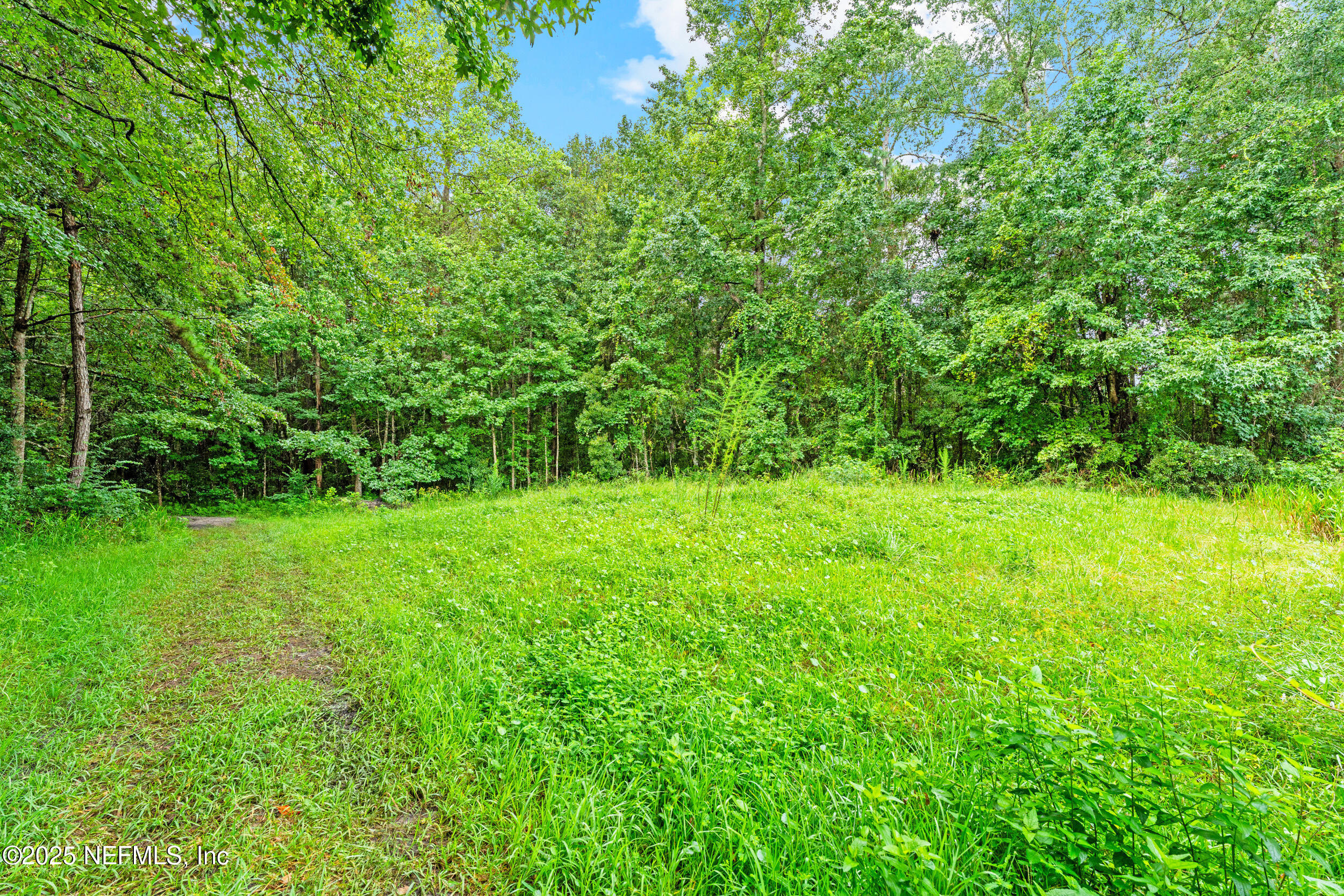 37341 Old Pineridge Road Hilliard, FL 32046 - Photo 26 of 27 a view of yard with green space