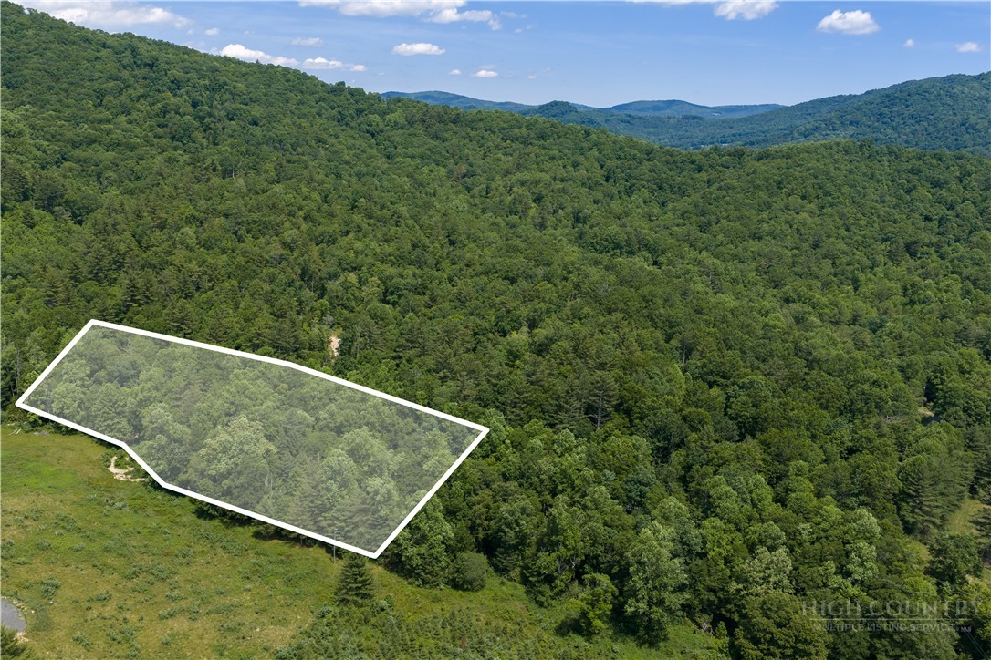 Lot 2 Gusher Knob Road Newland, NC 28657 - Photo 17 of 17