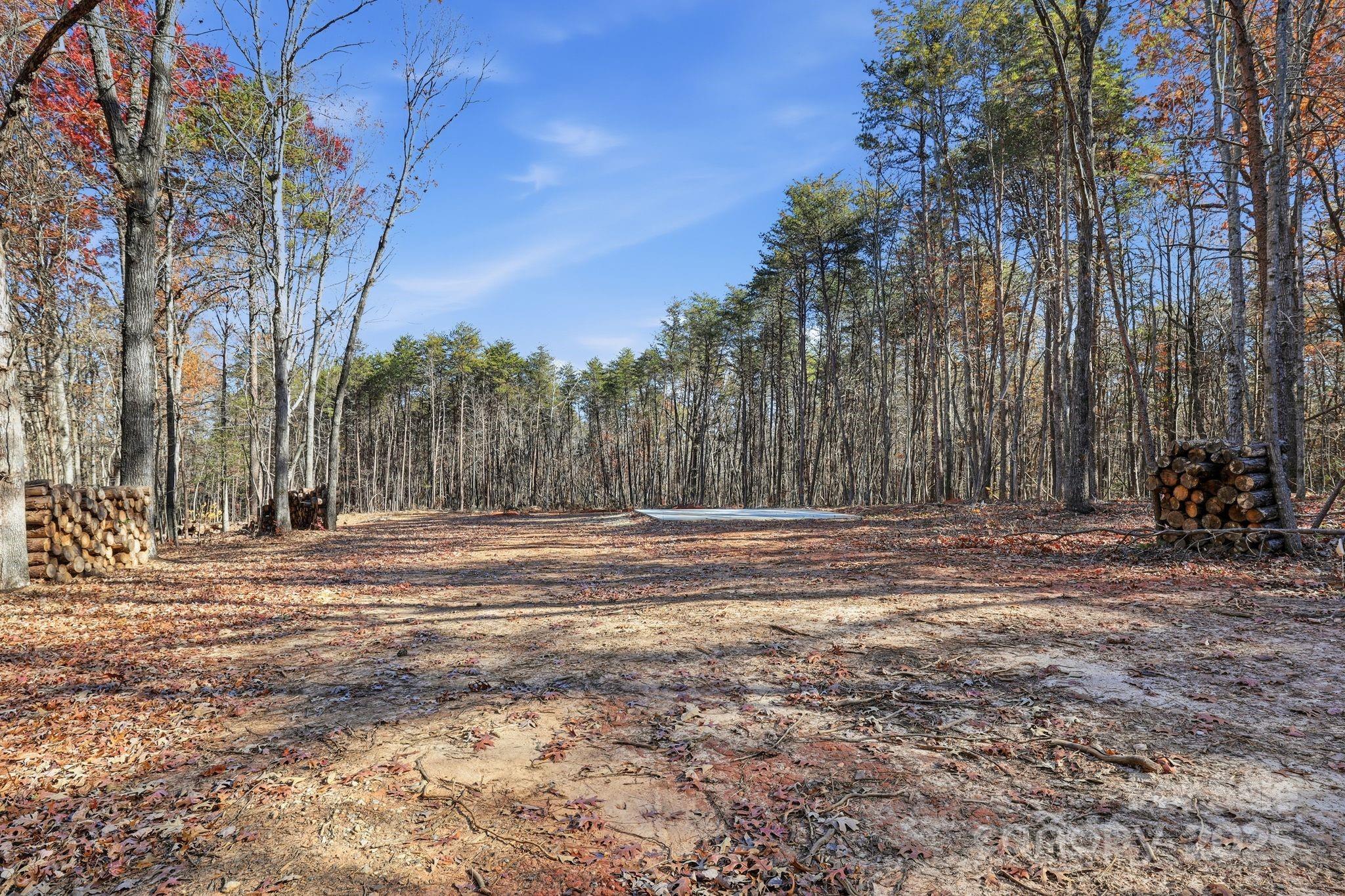 a view of a yard with trees