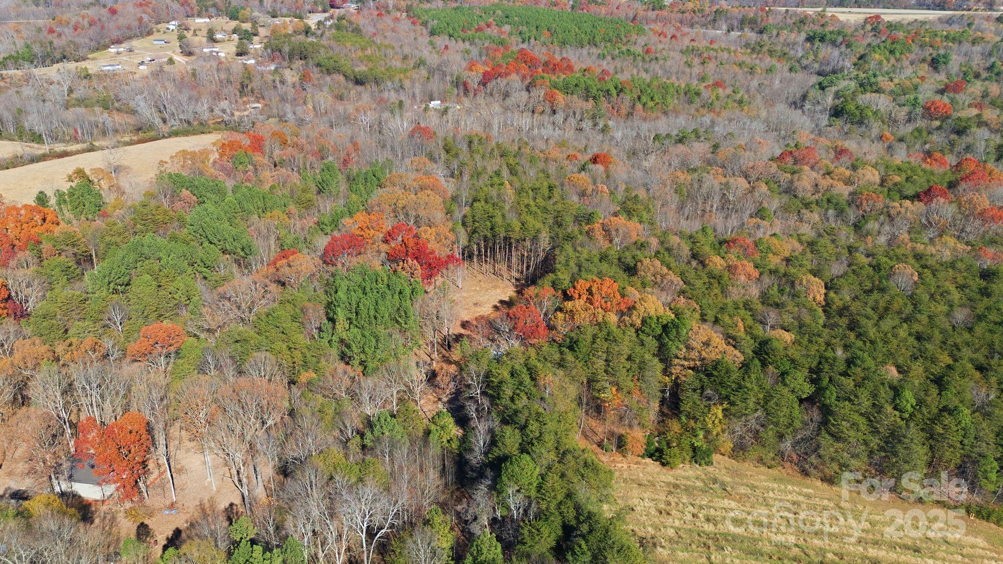2201 Old Mountain Road Hiddenite, NC 28636 - Photo 12 of 16 a backyard of a house with lots of green space and trees all around