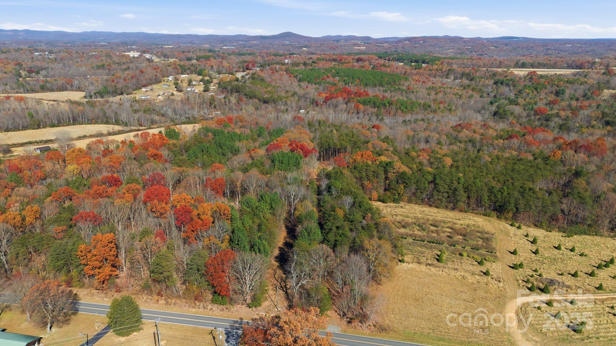 2201 Old Mountain Road Hiddenite, NC 28636 - Photo 15 of 16 a view of a yard with a garden