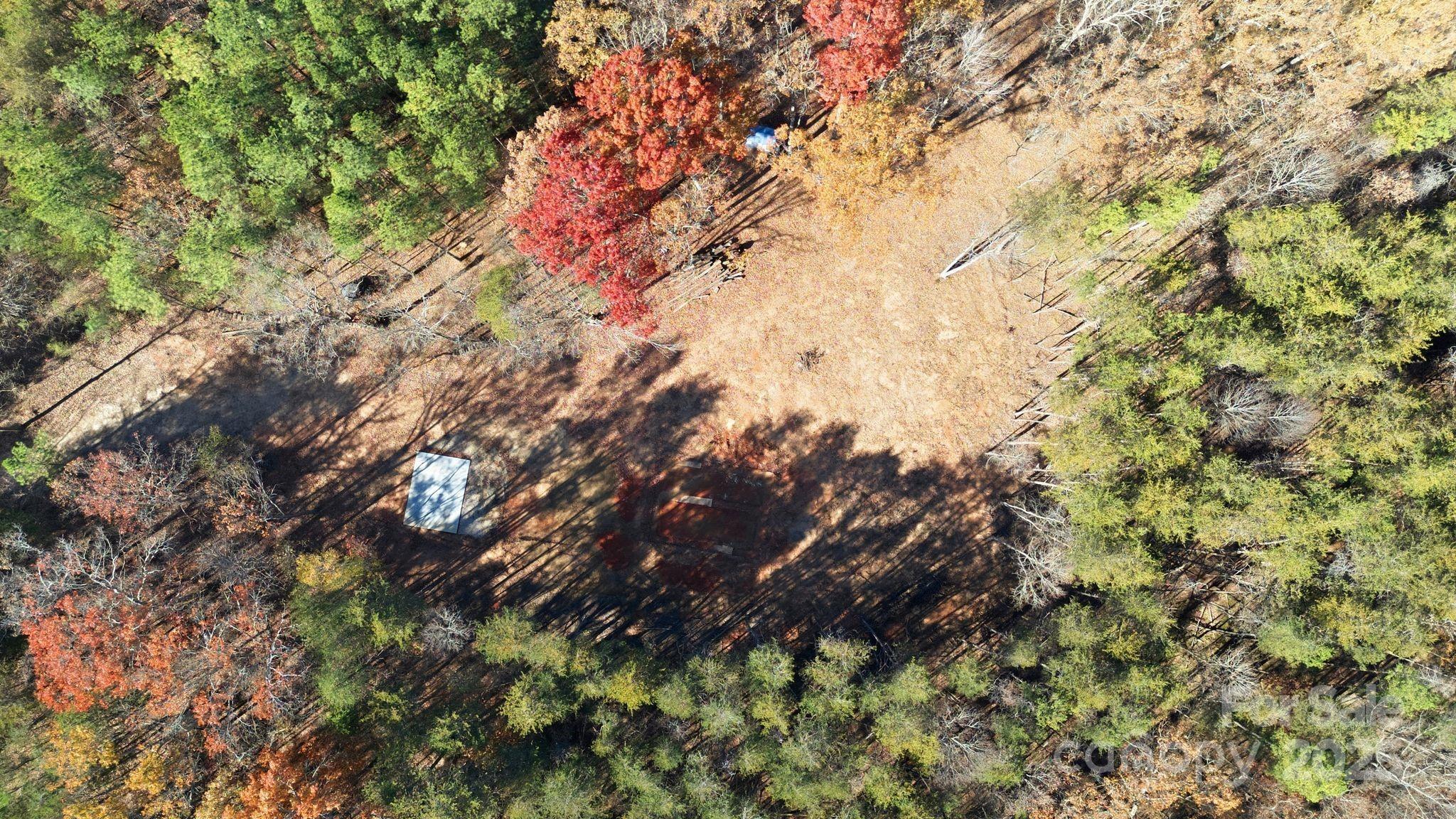 2201 Old Mountain Road Hiddenite, NC 28636 - Photo 2 of 16