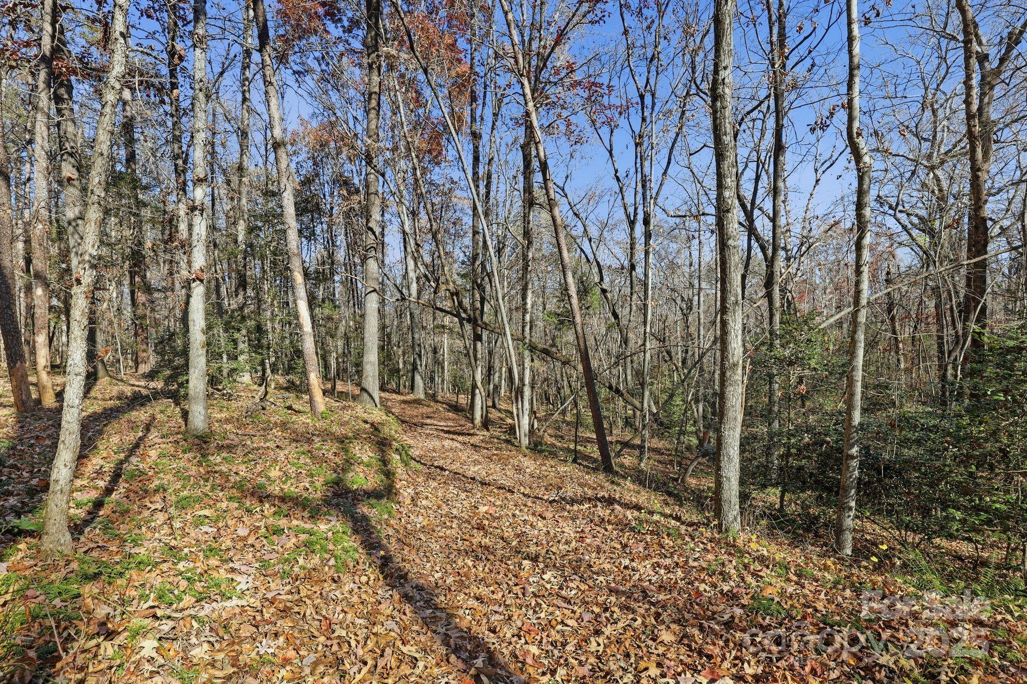 2201 Old Mountain Road Hiddenite, NC 28636 - Photo 5 of 16 a view of an outdoor space