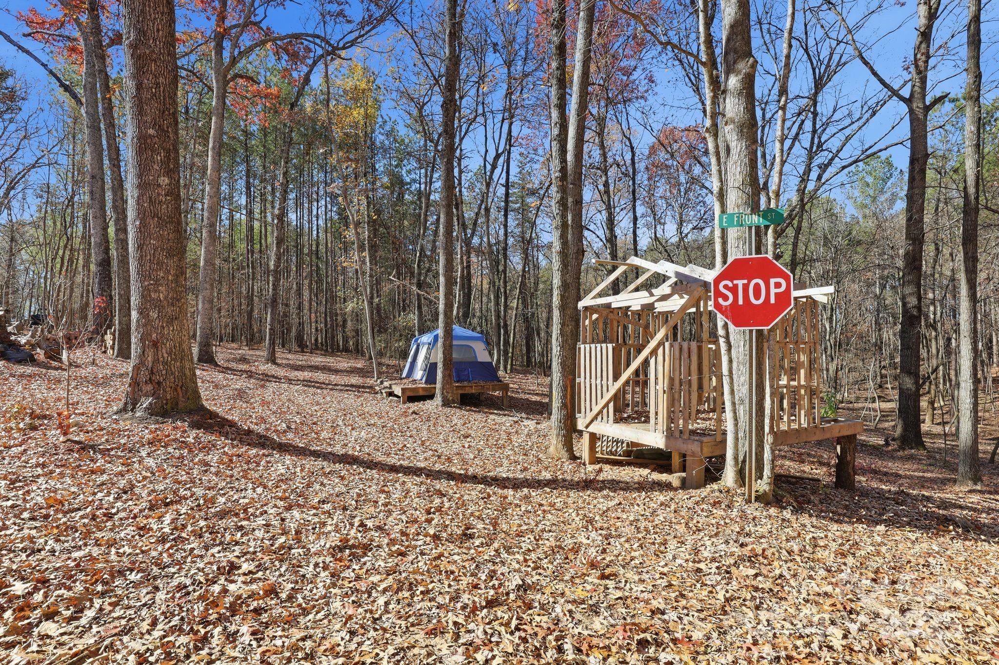 2201 Old Mountain Road Hiddenite, NC 28636 - Photo 6 of 16 a flag is sitting in the middle of a yard