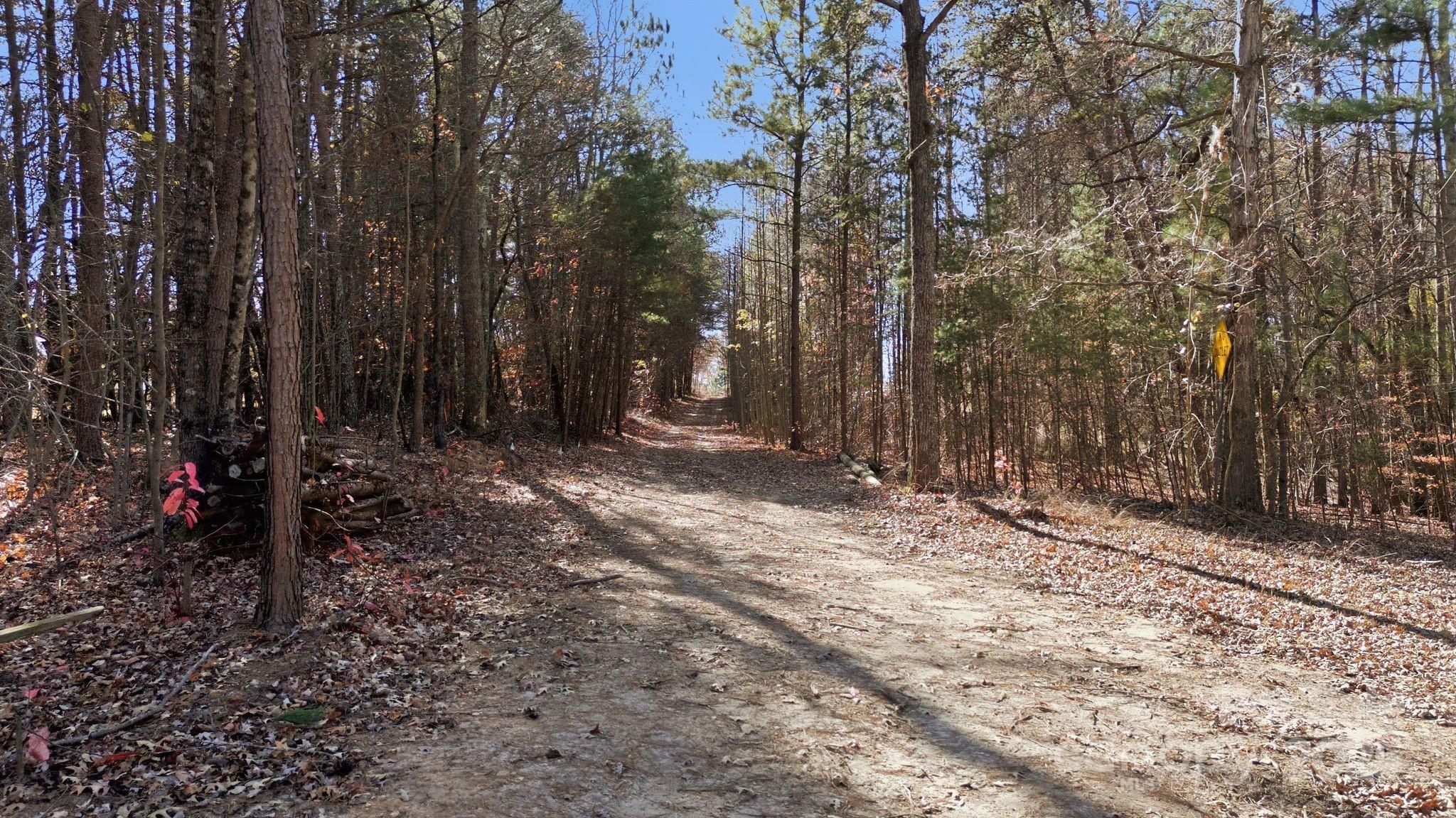 2201 Old Mountain Road Hiddenite, NC 28636 - Photo 7 of 16 a view of backyard with tree