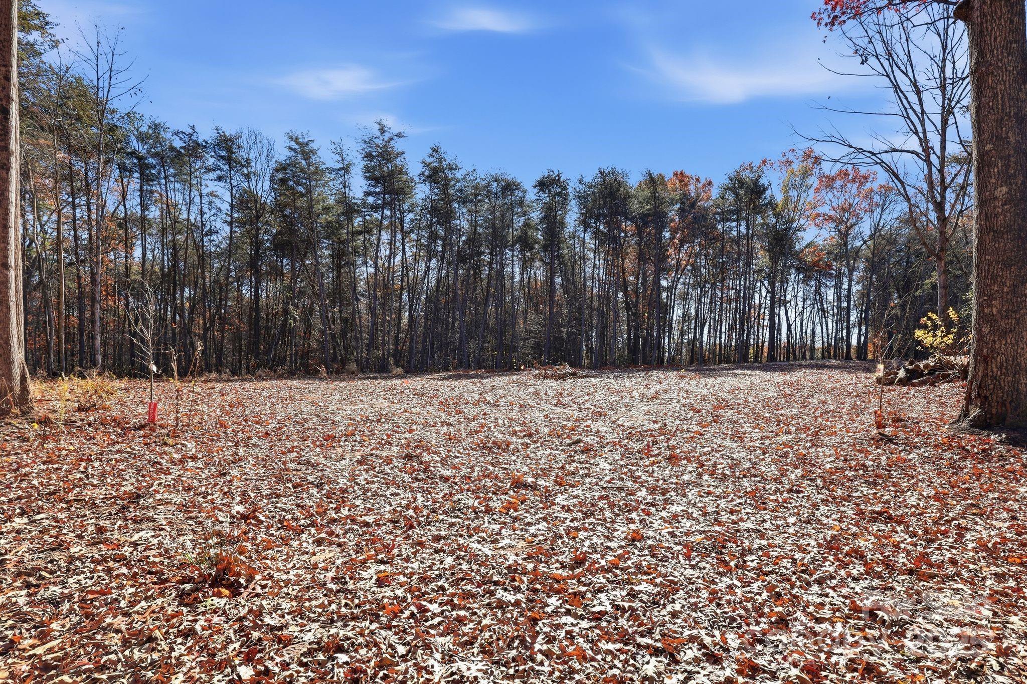 2201 Old Mountain Road Hiddenite, NC 28636 - Photo 9 of 16 a view of house with snow on the outdoor space