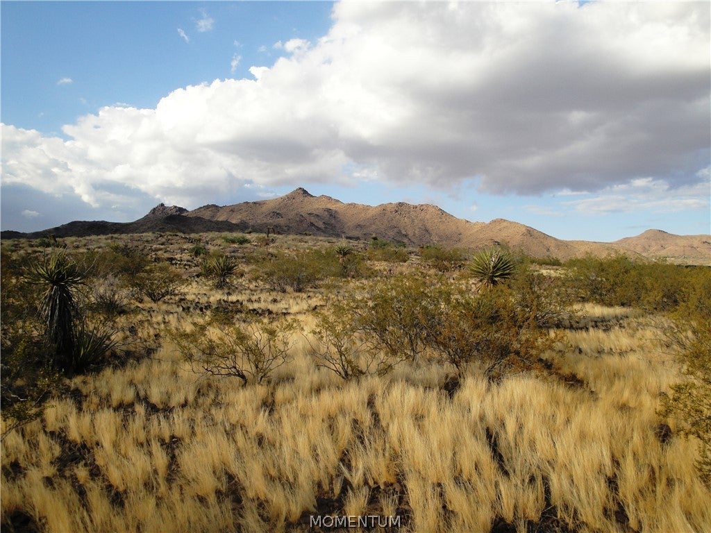 417 Klagetoh Road Golden Valley, AZ 86413 - Photo 9 of 14 Gallery Image 9