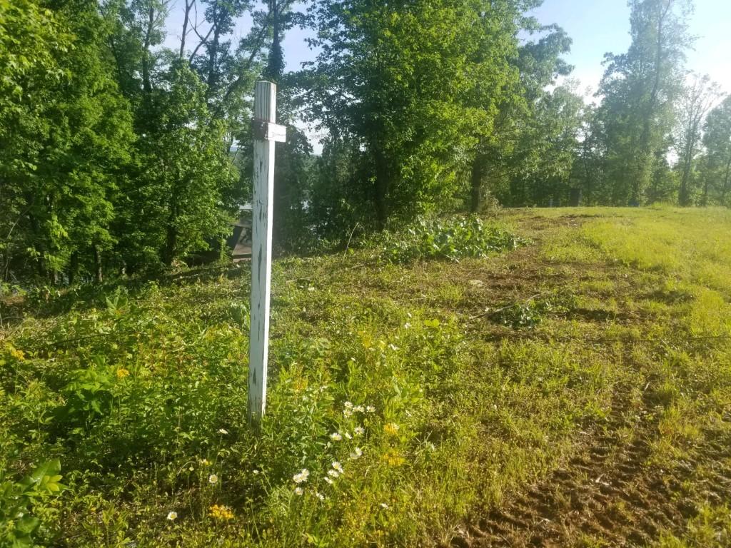 Lot 11 Spring Crossing Dr Spring Spring City, TN 37381 - Photo 11 of 16 11