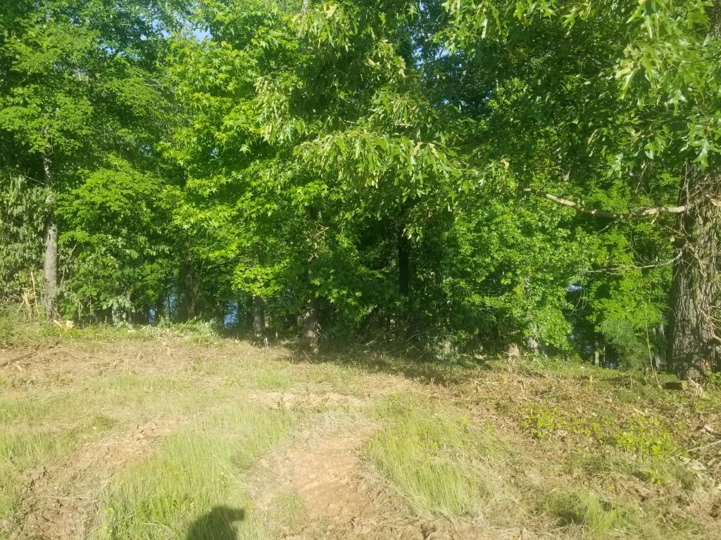 Lot 11 Spring Crossing Dr Spring Spring City, TN 37381 - Photo 12 of 16 12