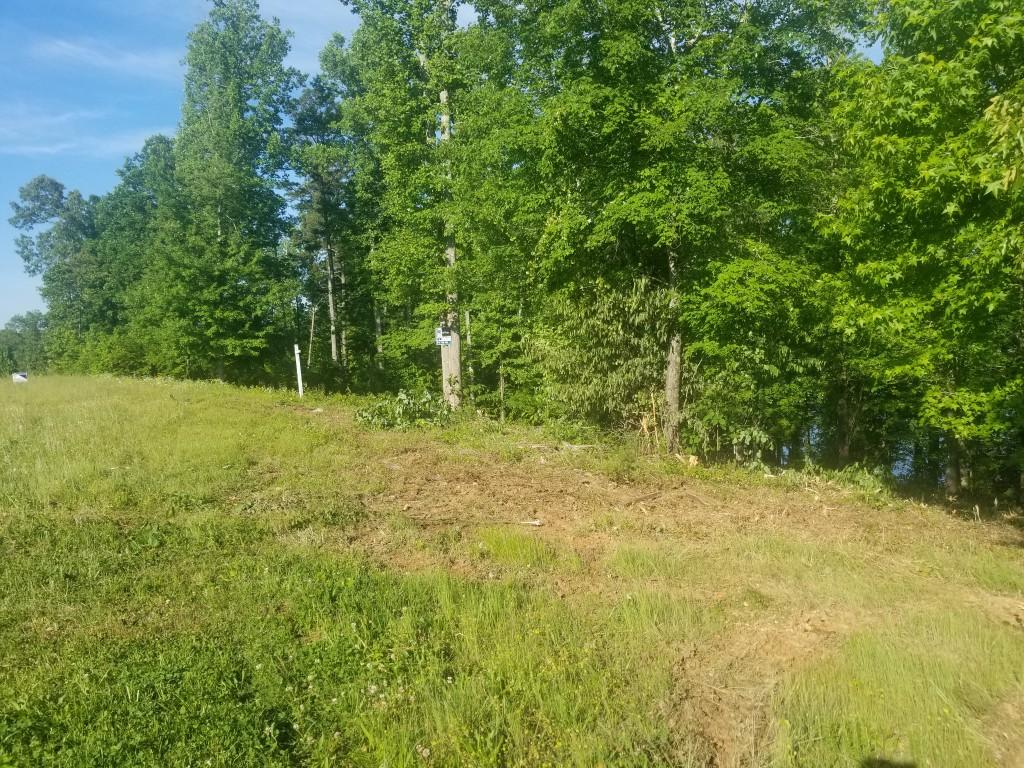 Lot 11 Spring Crossing Dr Spring Spring City, TN 37381 - Photo 13 of 16 13