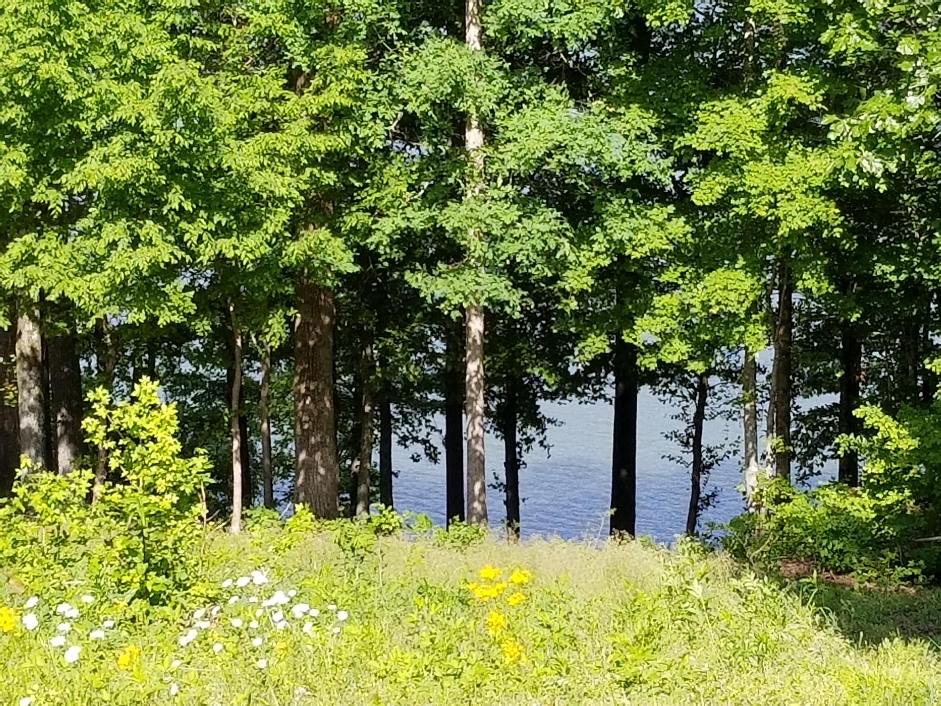 Lot 11 Spring Crossing Dr Spring Spring City, TN 37381 - Photo 3 of 16 3