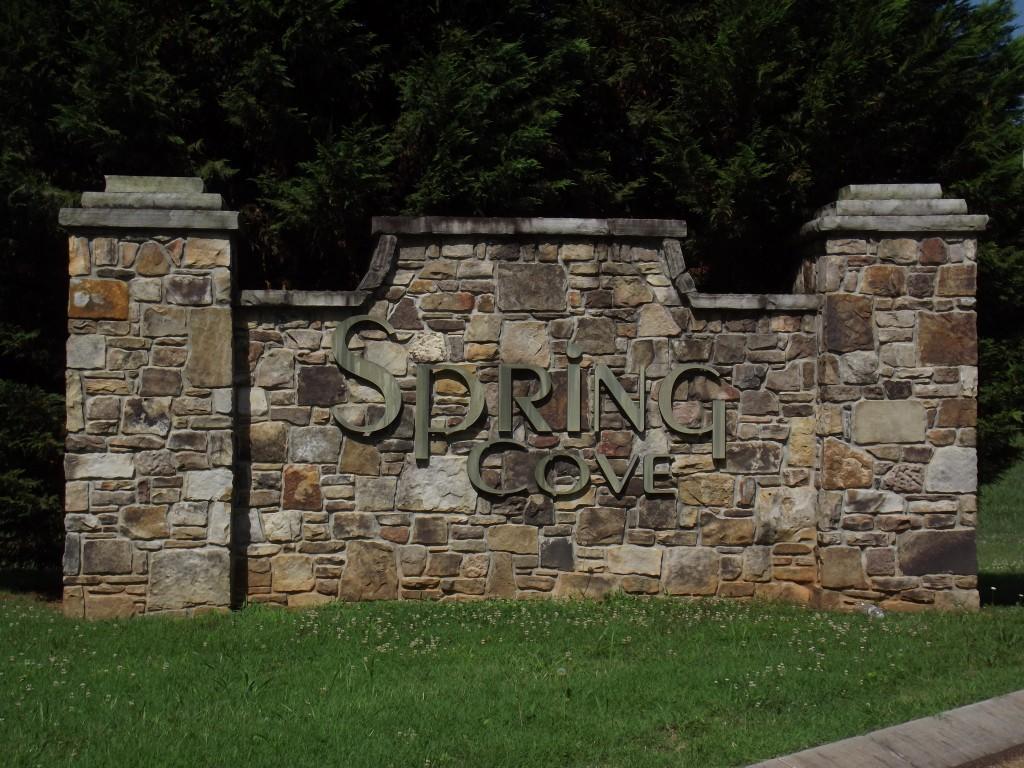 Lot 11 Spring Crossing Dr Spring Spring City, TN 37381 - Photo 5 of 16 5